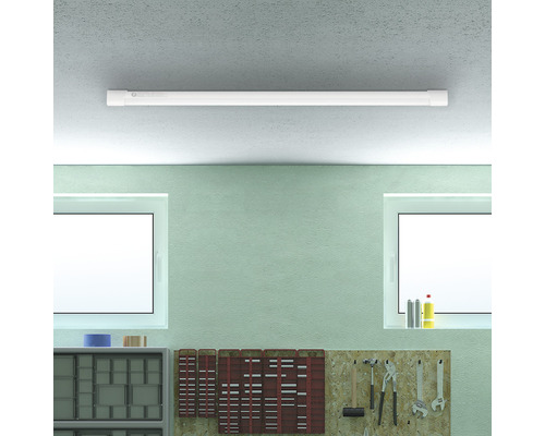 Atelier cu rafturi, panou pentru scule și o singură lampă fluorescentă lungă pe tavan.