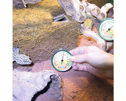 Terariu cu gecko leopard și termometru