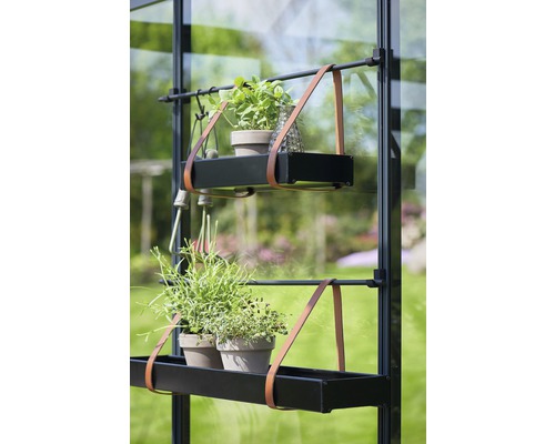 Raft seră cu plante