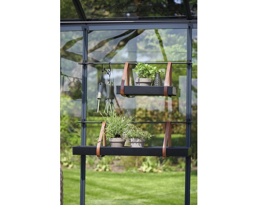 Raft de seră cu plante și unelte de grădinărit