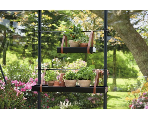 Raft de grădină cu plante și ierburi în ghivece