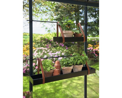 Două rafturi pentru plante cu plante și ierburi într-o seră