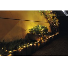 Jardiniere iluminate și un șir de lumini pe un perete exterior.