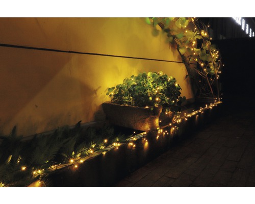 Jardiniere iluminate și un șir de lumini pe un perete exterior.