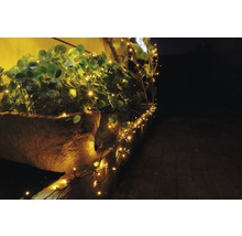 Ghirlandă luminoasă decorativă cu plante într-un vas de piatră.