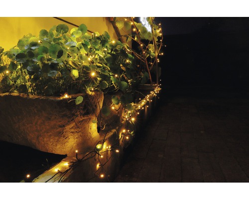 Ghirlandă luminoasă decorativă cu plante într-un vas de piatră.