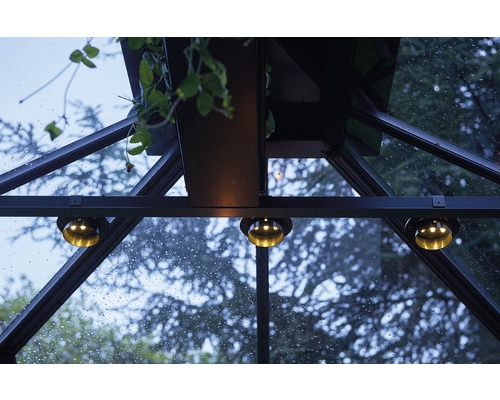 Interiorul unei sere cu plante și iluminat