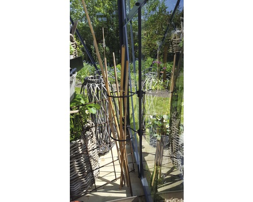 Scenă în seră cu bețe de bambus și coșuri de răchită