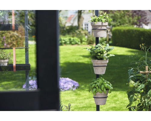 Plante în ghivece pe un suport de plante în grădină