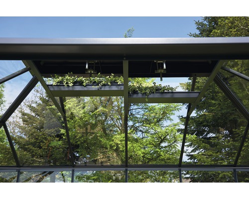 Interior seră cu raft pentru plante