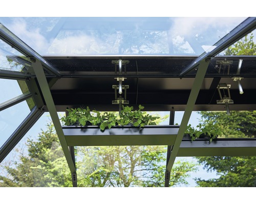 Prim-plan cu seră cu raft pentru plante