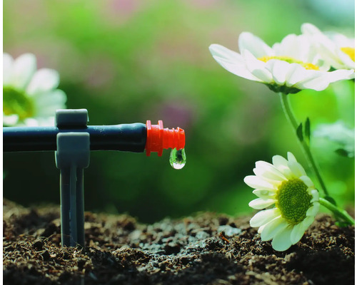 Sistem de irigare prin picurare în funcțiune cu picături de apă și plante