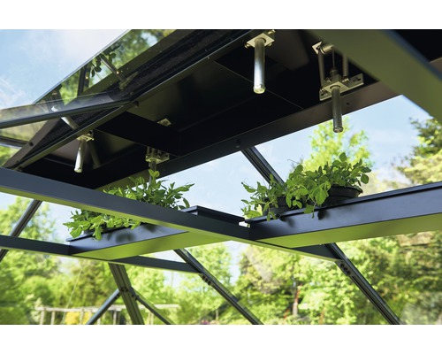 Prim-plan cu interiorul serei cu plante