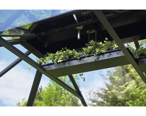 Vedere interioară seră cu raft pentru plante