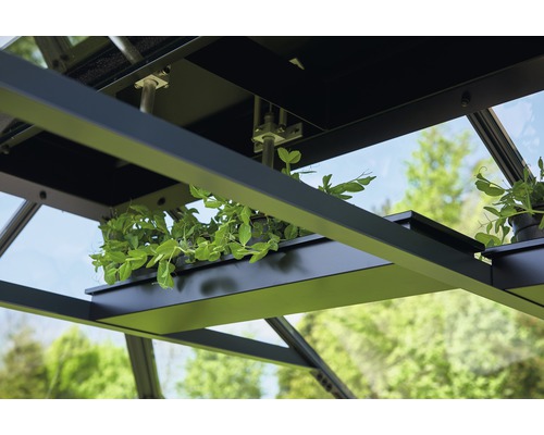 Prim-plan cu interiorul unei sere cu plante în ghivece pe un raft