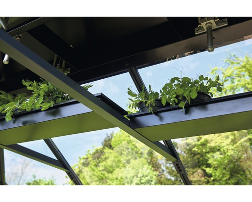 Interior de seră cu plante pe rafturi