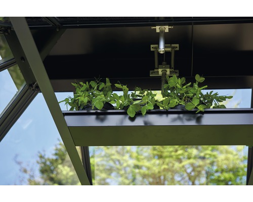 Vedere interioară a unei sere cu raft pentru plante și deschizător automat de ferestre