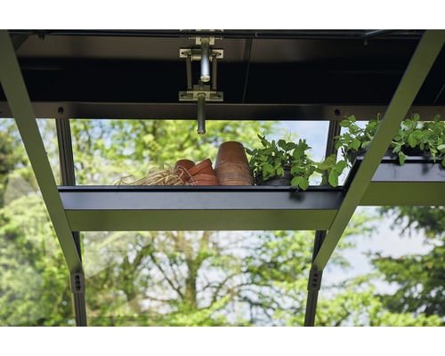 Interior de seră cu raft, ghivece de flori și plante