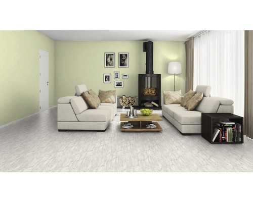 Living cu canapea, sobă, măsuță de cafea și podea