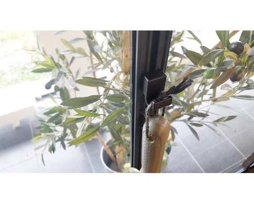 Fereastră cu mâner și obiect decorativ