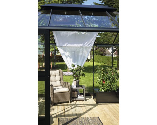 Interior de seră cu fotoliu, masă și plante