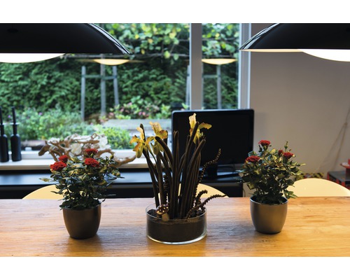 Aranjament decorativ pe o masă cu trandafiri și orhidee