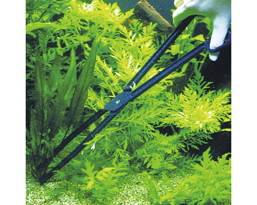 Pensetă de acvariu pentru plantarea plantelor acvatice