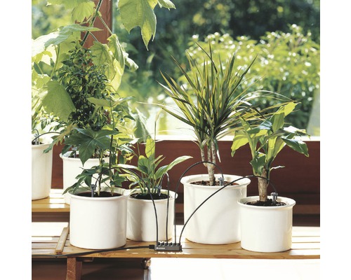 Sistem de irigare pentru plante de apartament pe o masă de lemn