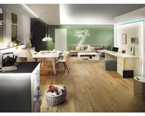 Spațiu de locuit luminos cu masă de sufragerie, canapea, birou și podea din lemn