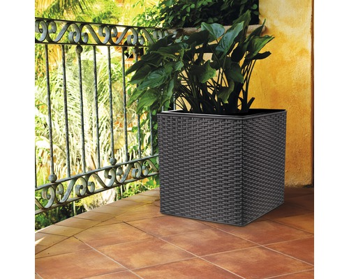 Jardinieră decorativă cu plante pe o terasă.