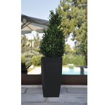Ghiveci tip vază Lafiora, plastic, 36x36x66 cm, antracit lucios, inclus set de udare a pământului și indicator al nivelului de apă
