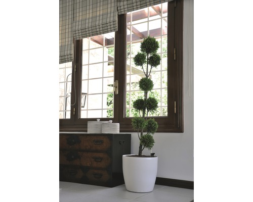 Cameră cu fereastră, rulou, comodă, recipiente și plantă la ghiveci