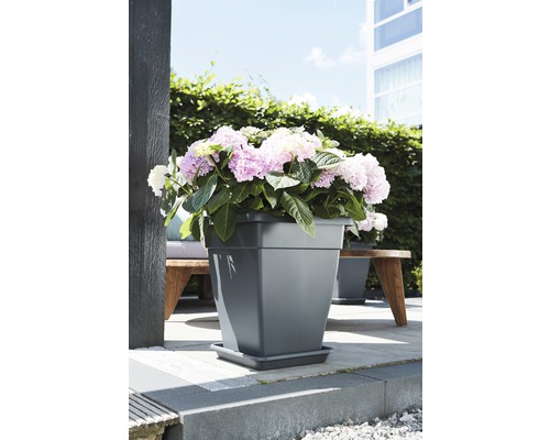 Jardiniere pătrată cu hortensii pe o terasă