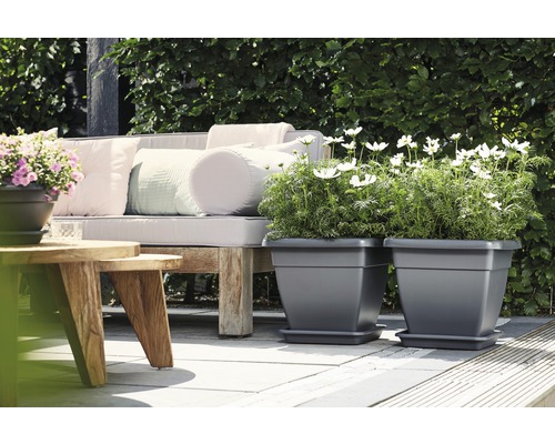 Două jardiniere pătrate din plastic cu flori pe o terasă