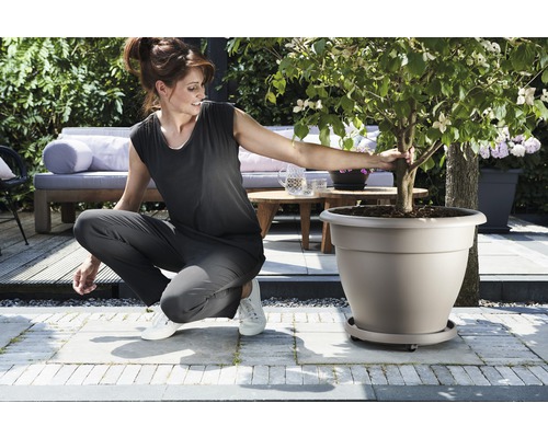 Femeie ghemuită lângă un ghiveci de flori plantat în grădină