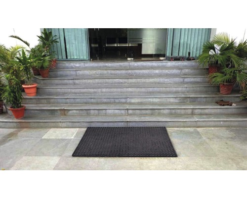 Zona de intrare cu scări, plante și covoraș de intrare