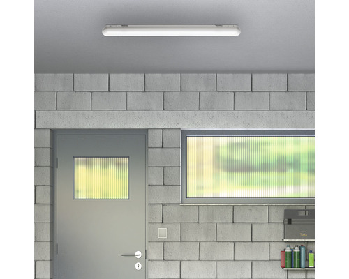 Atelier cu lampă de tavan, ușă și fereastră