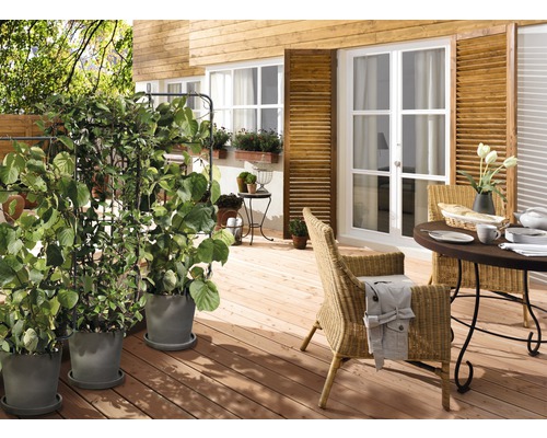 Terasa cu podea din lemn, masă, scaune și jardiniere cu suport de cățărare