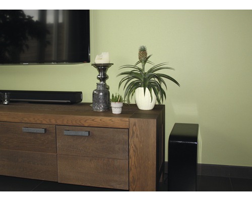 Scenă de sufragerie cu mobilier TV, plantă de apartament și decorațiuni