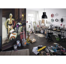 Fototapet hârtie 4-447 Disney Edition 4 Star Wars 3 Droids 184x254 cm
