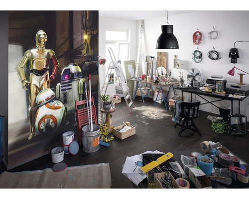 Cameră cu fototapet Star Wars, unelte și materiale de construcție pentru renovare