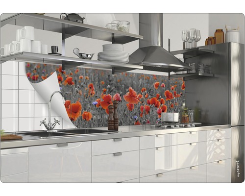 Panou de protecție pentru bucătărie cu motiv de maci în spatele unei chiuvete într-o bucătărie modernă.