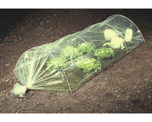 Seră mică peste plantele de salată din grădină