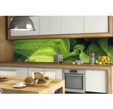 Scenă de bucătărie cu panou de protecție cu motiv de plante, ustensile de bucătărie și alimente pe un blat de lucru.