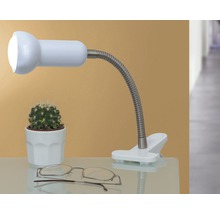 Lampă cu clemă cu braț flexibil, cactus și ochelari pe o masă