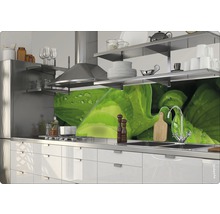 Scenă de bucătărie cu chiuvetă, plită, hotă și protecție de perete cu motiv vegetal