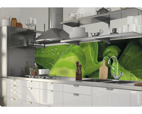 Scenă de bucătărie cu chiuvetă, plită, hotă și protecție de perete cu motiv vegetal