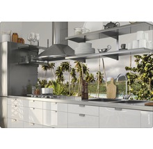 Scenă de bucătărie cu chiuvetă, plită și un panou de bucătărie cu motiv de palmieri