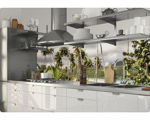 Scenă de bucătărie cu chiuvetă, plită și un panou de bucătărie cu motiv de palmieri