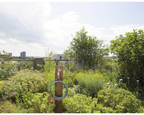 Grădină pe acoperiș cu duș exterior, plante și furtun de grădină